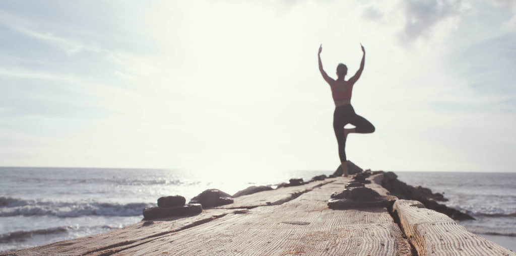 Soothe Your Joints with Aloe Ferox