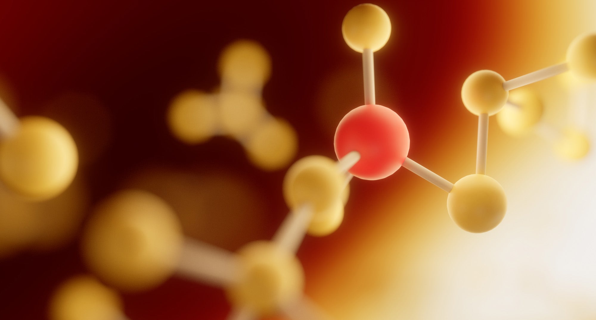 What Are Amino Acids and How Many Are In Aloe Ferox Caps?